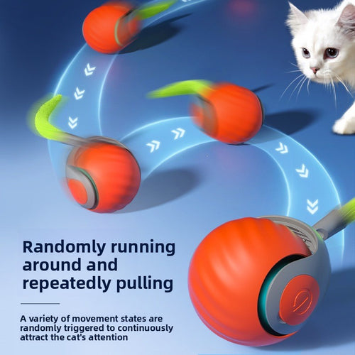 Smart Interactive Cat Toy with Automatic Motion