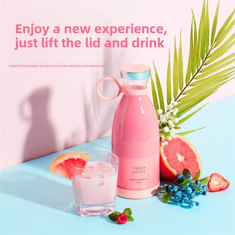 Fruit juicer