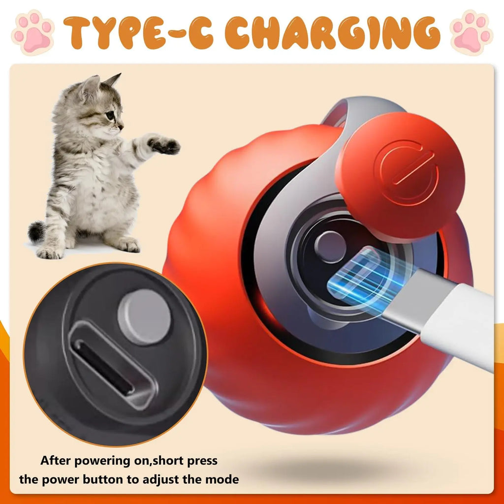 PrankCat-Cat Fun Toy