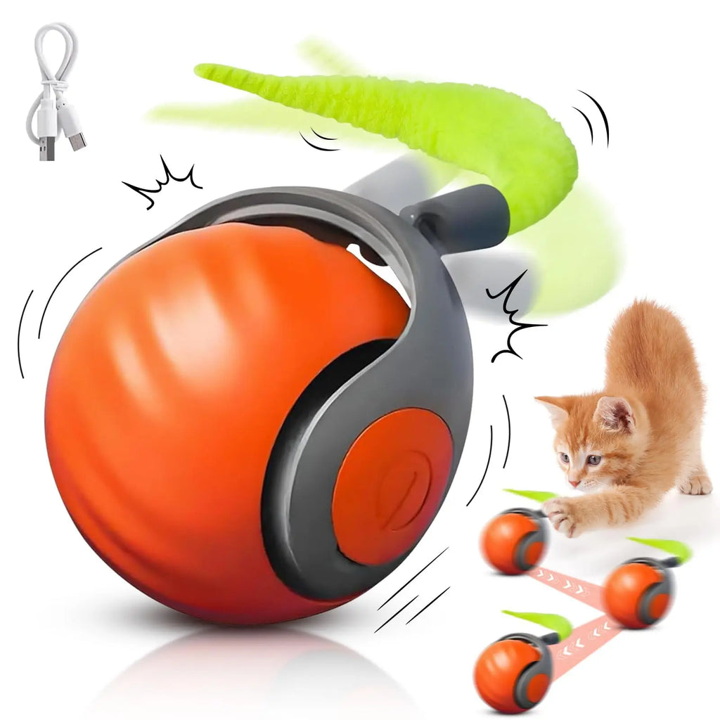 PrankCat-Cat Fun Toy